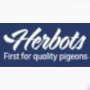 Herbots pigeons - Belgique
